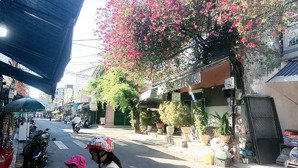 bán nhà 2 mặt tiền. mặt phố phan đình phùng, 2,5 tỷ, 50 m2, chính chủ. tam kỳ quảng nam