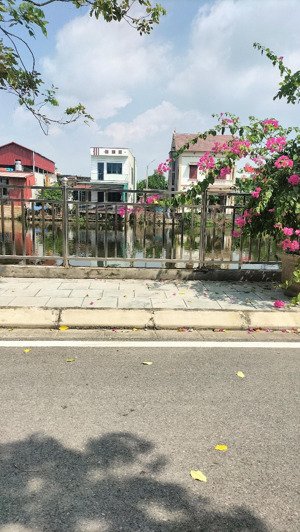 bán đất phi liệt - liên nghĩa, văn giang, hưng yên, chỉ 5,2 tỷ, 150m2 - full thổ cư