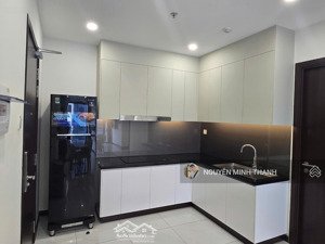 cho thuê căn hộ cao cấp c-skyview chánh nghĩa 2pn 2wc 75m2 full nội thất mới