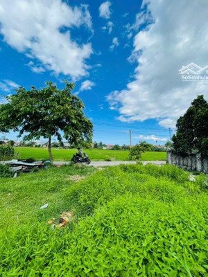 bán đất tại xã điện hòa, điện bàn, quảng nam, 610 triệu, 80m2, giá siêu hời