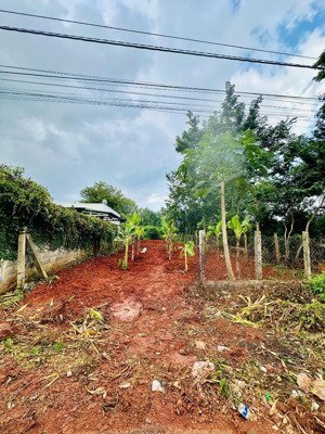 chính chủ bán lô đất biệt thự 572m2, 10*57m giá 4,5 tỷ