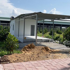 bán đất 250m2 tại thành phố hồ chí minh)