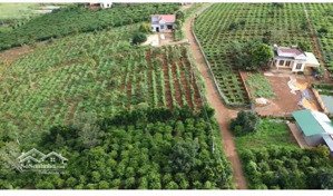 giảm mạnh lô đất thôn chiến thắng, liên hà, lâm hà