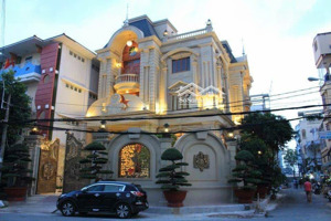 cần bán gấp dinh thự 2 mt khu vip quận 11