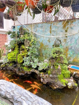 bán biệt thự - 288m2 tại phường phước long, nha trang, 19,5 tỷ, 3pn, 4wc, 2 tầng, mặt tiền 11.5m