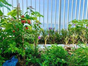 bán nhà mặt phố thái nguyên 148m2: 3 tầng - 22 tỷ (có sẵn dòng tiền cho thuê 40 triệu/ tháng)