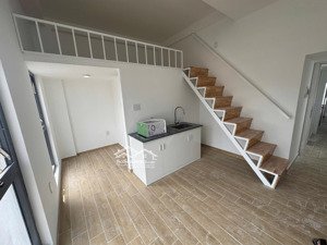 cho thuê căn hộ duplex mới khai trương tại tân định quận 1 gần nhà hát thành phố & đại học khxh&nv