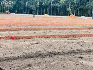 CHÍNH CHỦ CẦN BÁN LÔ ĐẤT GIÁ RẺ