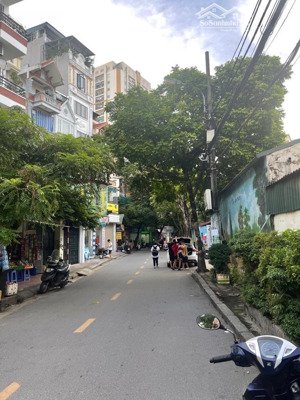 bán nhà mặt phố, mỹ đình 2, lô góc, ô tô tránh, thang máy, kd 55 m2, mt 5m .giá 26,9 tỷ