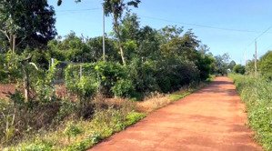 bán đất nghĩa trung, bù đăng, bình phước, giá chỉ hơn 300tr, lh 