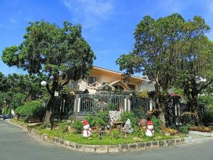 bán biệt thự view đẹp tại mỹ tú 1, lý long tường, q7, 215 tỷ, 480m2