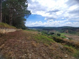 bán đất đẹp tại xã tà nung, đà lạt, lâm đồng, 7 tỷ, 6525 m2 ( đất trồng cây lâu năm )