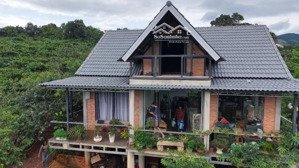 bán nhà view đồi cực phẩm sở hữu ngay 1.628m² đất chỉ với 3,2 tỷ!
