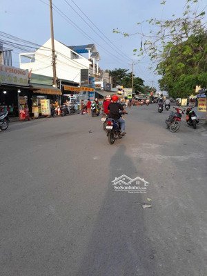 bán nhà mặt tiền đường 24a kdc tân đức, dt: 10 x 25m (250m2), trục đường chính kinh doanh sầm uất