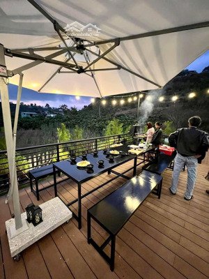 căn nhà nhỏ giữa rừng thông không khí mát mẻ quanh năm, chỉ 3,05 tỷ!