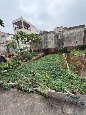 thôn 3 vạn phúc, nam phù diện tích: 50m thổ cư 100% sẵn sổ đỏ, giá chỉ 3.25 tỷ