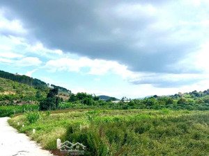 săn lô đất nghỉ dưỡng đẹp nhất đông thanh, lâm hà ven đà lạt 219m² có 100m² thổ cư