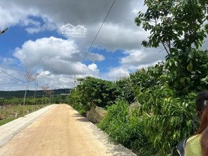 bán đất nền thuộc xã mê linh - ngay nam ban, lâm hà