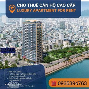 chính chủ cho thuê căn hộ 1pn đầy đủ nội thất tại the filmore đà nẵng, ngay phố đi bộ bạch đằng