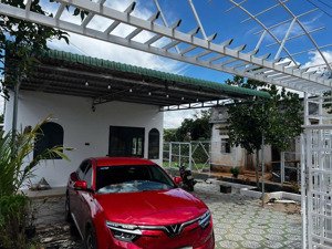 nhà vườn nghỉ dưỡng sẵn vườn cây ăn trái ven đà lạt
