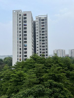 gia đình tôi cần bán căn hộ 2 phòng ngủ rộng 65m2 tòa ct15 kđt hồng hà eco city