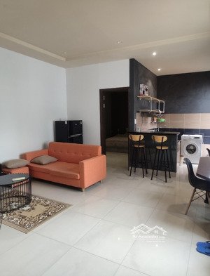 cho thuê căn hộ 1pn hiện đại ban công đầy đủ nội thất , máy giặt riêng gần cầu công lý