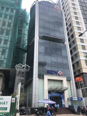 bán nhà mặt tiền trường sơn, tân bình - 10x25m - xd: hầm 7 tầng - dt cho thuê 250 triệu - giá 70 tỷ