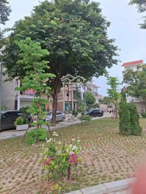 bán liền kề tân lập cienco 5, 10 tỷ, 65m2