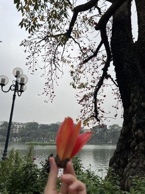 bán nhà riêng 5,5 tỷ, 16,6m2, view đẹp tại bạch đằng, chương dương, hoàn kiếm, hà nội