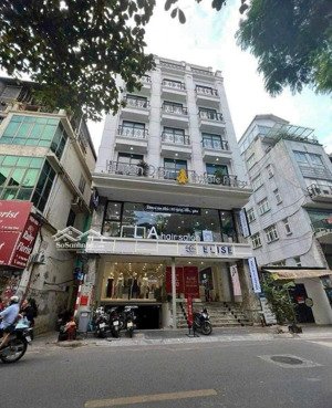 bán nhà hầm 7 tầng ngang 10m ngay vạn hạnh mall quận 10 - hđt: 230tr/tháng - giá: 55 tỷ