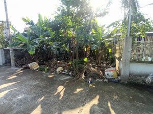 bán rẻ mảnh đất 539 m2 tại tân phong, kiến thụy - hải phòng