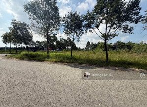 bán đất 184m2 n2 sát vành đai 4, đường nhựa thông trường đh việt đức, kề oasis shr