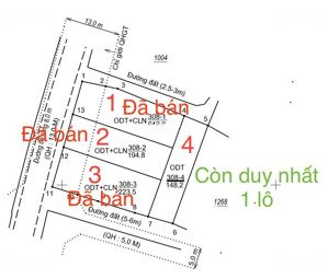 siêu phẩm đất biển dốc lết full thổ giá rẻ nhất khu vực