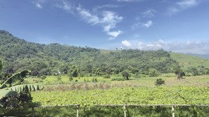 bán gấp đất phường kỳ sơn, tp hòa bình, nay là phú thọ