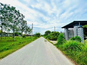 bán gấp đất tại xã tân lâm, xuyên mộc, bà rịa vũng tàu. diện tích: 9300m2, giá chỉ: 2,8triệu/1m2