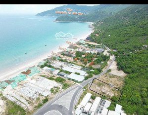 đất mặt đường nhựa 2479m2 cách mặt biển chỉ 50m, toàn bộ đất ở đô thị giá chỉ có 12tr/m2