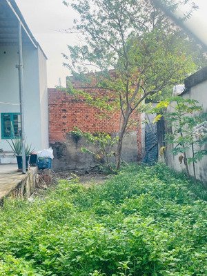 113m2 đặng thúc vịnh thới tam thôn full thổ cư xây nhà cực tốt