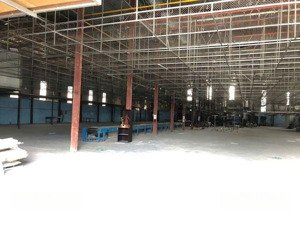 cho thuê đất trong khu công nghiêp nhị xuân, xã xuân thới sơn. đường nguyễn văn bứa, hóc môn
