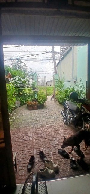 bán nhà sổ hồng riêng 132m cấp4 giá chỉ 3,499 tỷ tl 1/trần thị bốc, thới tứ, thới tam thôn, hóc môn