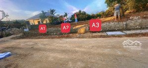 chính chủ bán 3 ô đất f0 tdp sơn thanh đại đình tam đảo diện tích mỗi ô 98m2 phun thổ cư