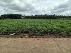 đất siêu rẻ cho công nhân. cơ hội đầu tư giá rất lời cho a/c