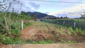 chỉ 1,25 tỷ sở hữu ngay lô đất 500m2 , 250mtc, mặt đường bê tông rộng