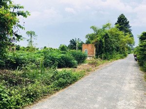 chính chủ cần bán nhanh lô đất xã tân lâm huyện xuyên mộc, diện tích: 7500m2 giá 2,9triệu/1m2