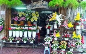 cho thuê nhà mặt tiền lê văn sỹ, p13, phú nhuận