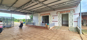 chủ ngộp bán nhà ở +vườn sầu riêng +nhà yến 12.278m2. thu nhập trên 500tr/năm tại cẩm mỹ, đồng nai