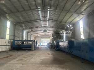 cho thuê kho, nhà xưởng 1000m2, 35 triệu tại xã bình mỹ, bắc tân uyên, bình dương