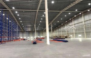 cho thuê kho tiêu chuẩn kcn vsip từ sơn, bắc ninh pccc tự động