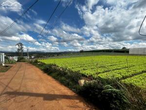 Bán gấp lô đất vị trí siêu đẹp tại Bồng Lai - Đức Trọng - Lâm Đồng