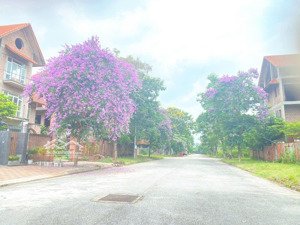 chỉ 11 tỷ lô biệt thự sl vị trí đắc địa kdt quang minh - mê linh hà nội 