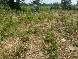 chính chủ gửi bán 1800m. thổ cư 500m. mặt tiền 37m vị trí: yên bài - ba vì - hà nội 